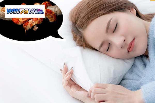 Soi Cầu Giải Mã Giấc Mơ Là Gì?