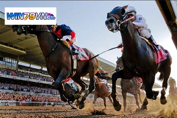 Đôi nét về Cá cược đua ngựa Win79