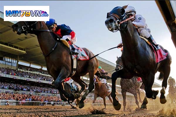 Quy tắc và mẹo luôn thắng khi Cá cược đua ngựa